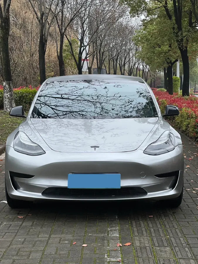 2019 Tesla Model 3 BEV 60KWH,autocango,china used car exporter,china ev exporter,chinese used car exporter,chinese used ev exporter