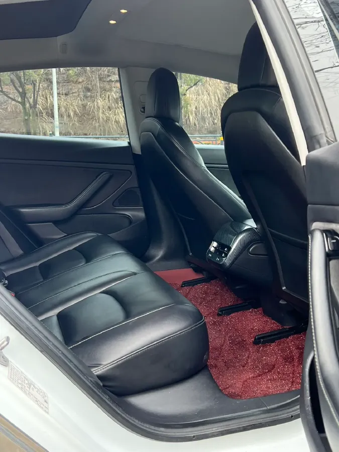 2019 Tesla Model 3 BEV 60KWH,autocango,china used car exporter,china ev exporter,chinese used car exporter,chinese used ev exporter