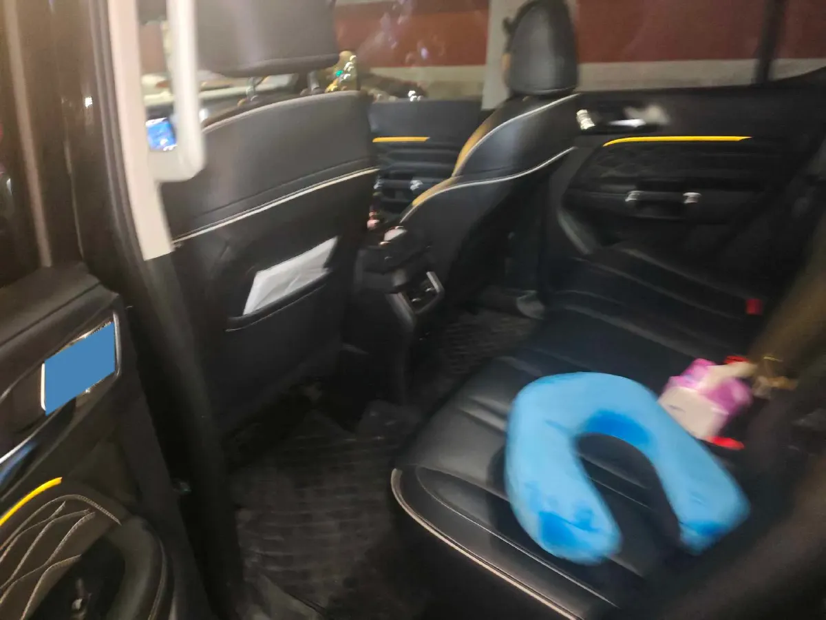 2024 Tank 300 2.0T 227HP L4 8AT,autocango,china used car exporter,china ev exporter,chinese used car exporter,chinese used ev exporter