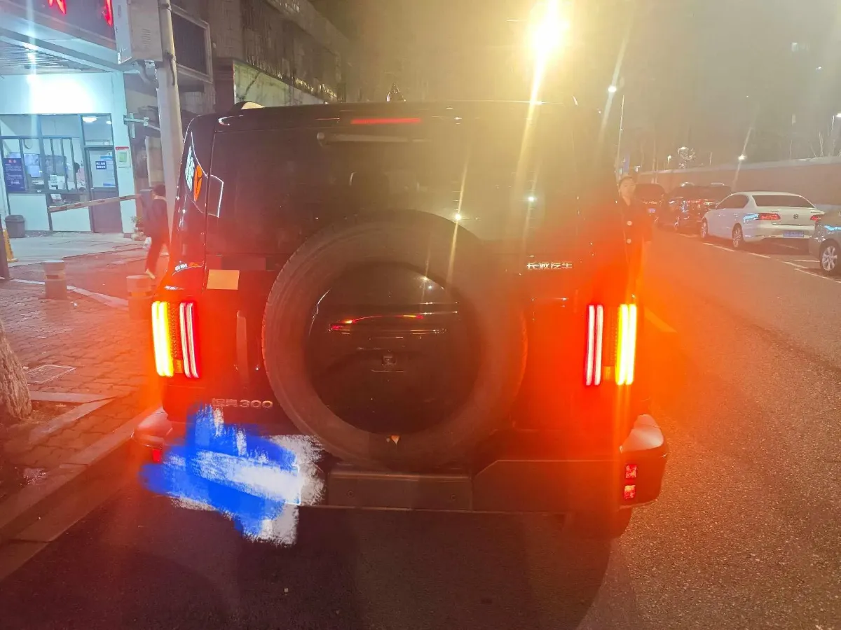 2024 Tank 300 2.0T 227HP L4 8AT,autocango,china used car exporter,china ev exporter,chinese used car exporter,chinese used ev exporter