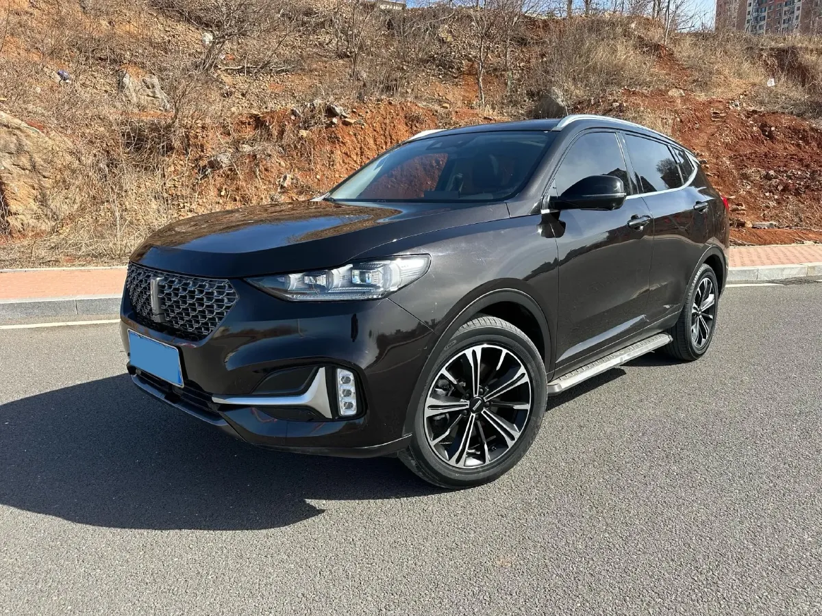 2021 WEY VV6 2.0T 227HP L4 7DCT,autocango,china used car exporter,china ev exporter,chinese used car exporter,chinese used ev exporter