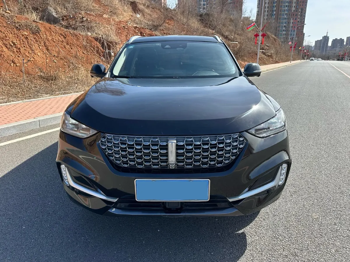 2021 WEY VV6 2.0T 227HP L4 7DCT,autocango,china used car exporter,china ev exporter,chinese used car exporter,chinese used ev exporter