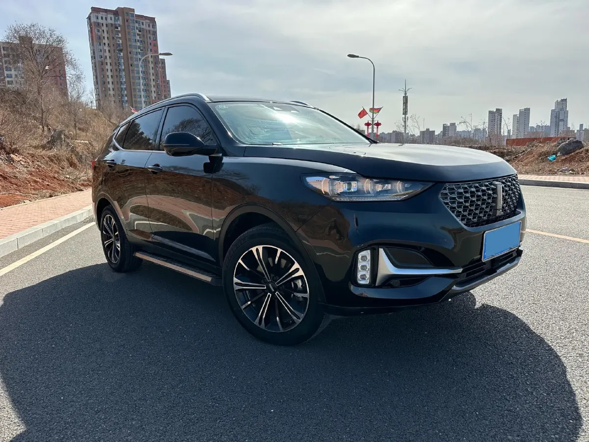 2021 WEY VV6 2.0T 227HP L4 7DCT,autocango,china used car exporter,china ev exporter,chinese used car exporter,chinese used ev exporter