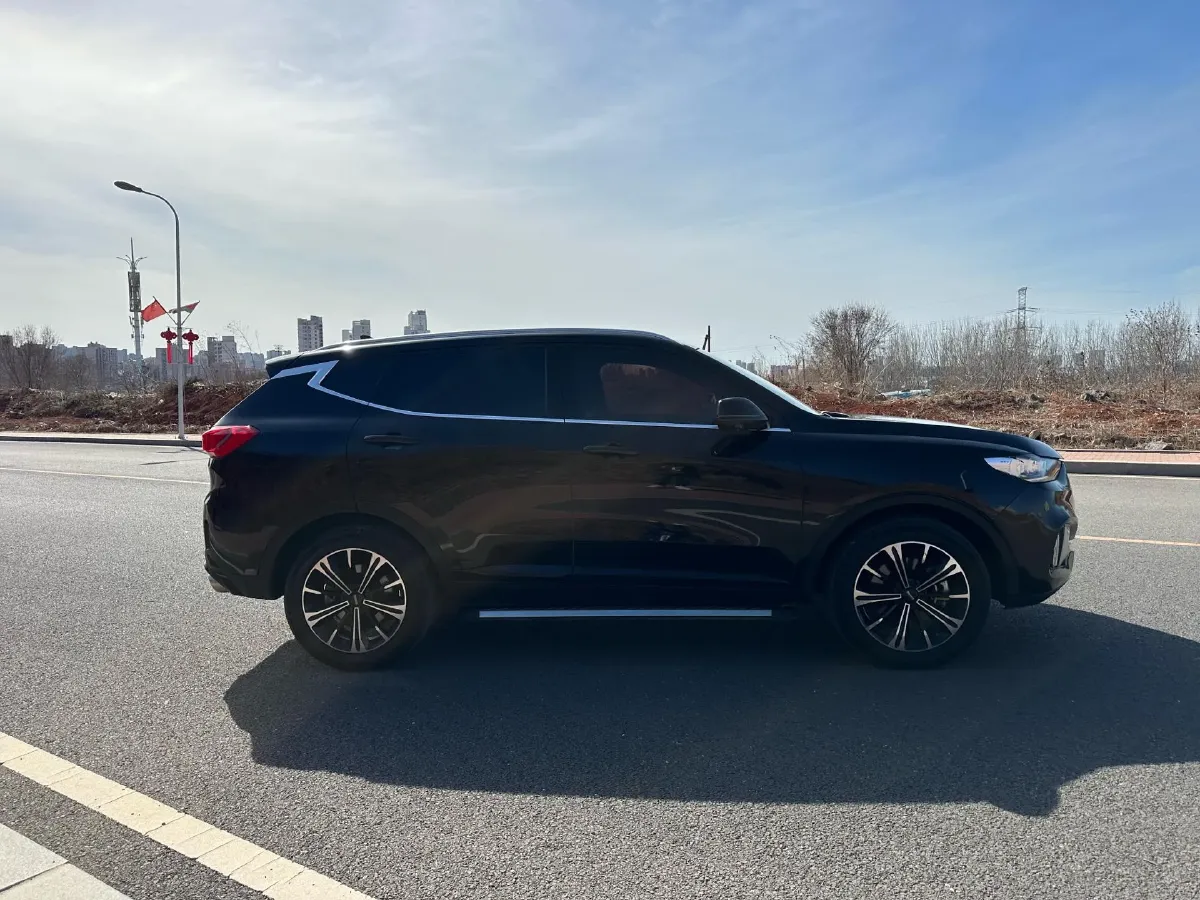 2021 WEY VV6 2.0T 227HP L4 7DCT,autocango,china used car exporter,china ev exporter,chinese used car exporter,chinese used ev exporter