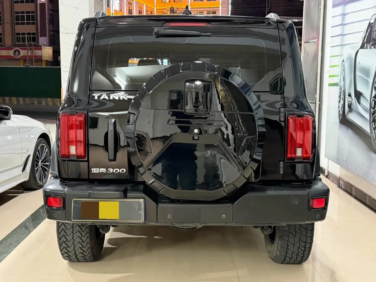2021 Tank 300 2.0T 227HP L4 8AT,autocango,china used car exporter,china ev exporter,chinese used car exporter,chinese used ev exporter