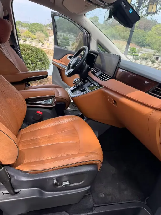 2023 HongQi HQ9 2.0T 252HP L4 8AT,autocango,china used car exporter,china ev exporter,chinese used car exporter,chinese used ev exporter