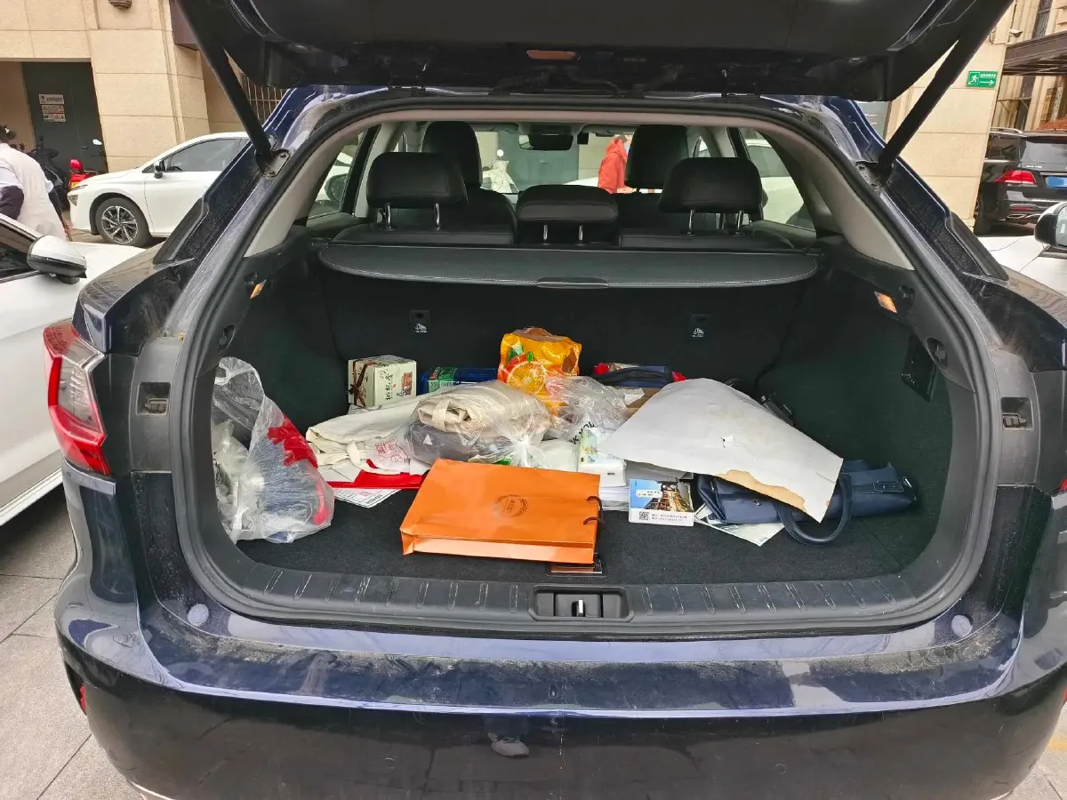 2016 Lexus RX 2.0T 238HP L4 6AT,autocango,china used car exporter,china ev exporter,chinese used car exporter,chinese used ev exporter