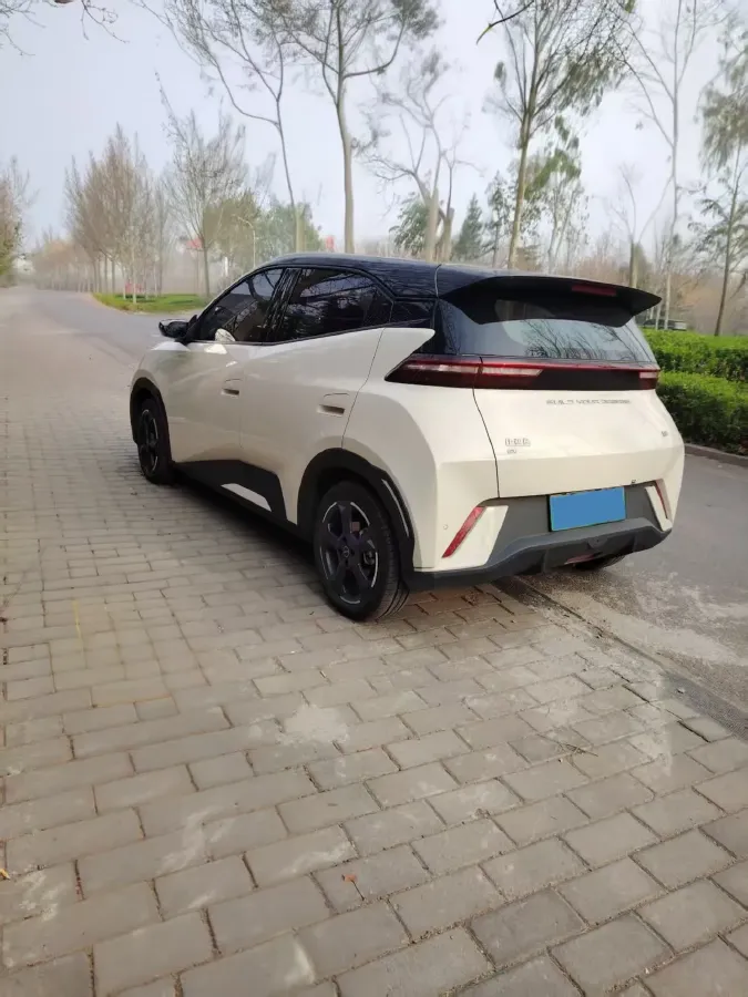 2023 BYD Seagull BEV 38.88KWH,autocango,china used car exporter,china ev exporter,chinese used car exporter,chinese used ev exporter