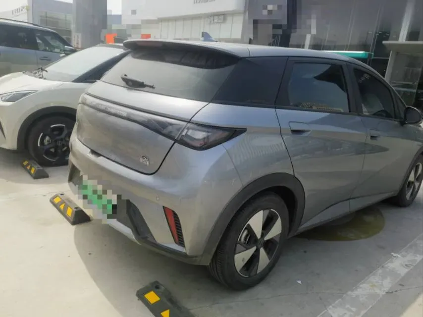 2023 BYD Dolphin BEV 44.928KWH,autocango,china used car exporter,china ev exporter,chinese used car exporter,chinese used ev exporter