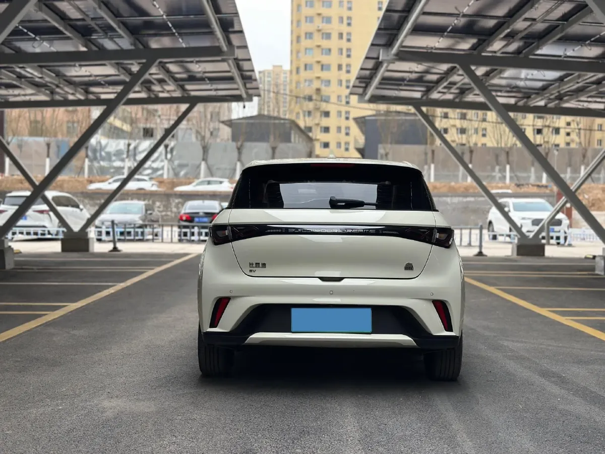 2023 BYD Dolphin BEV 44.928KWH,autocango,china used car exporter,china ev exporter,chinese used car exporter,chinese used ev exporter