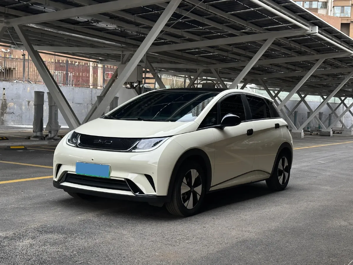 2023 BYD Dolphin BEV 44.928KWH,autocango,china used car exporter,china ev exporter,chinese used car exporter,chinese used ev exporter