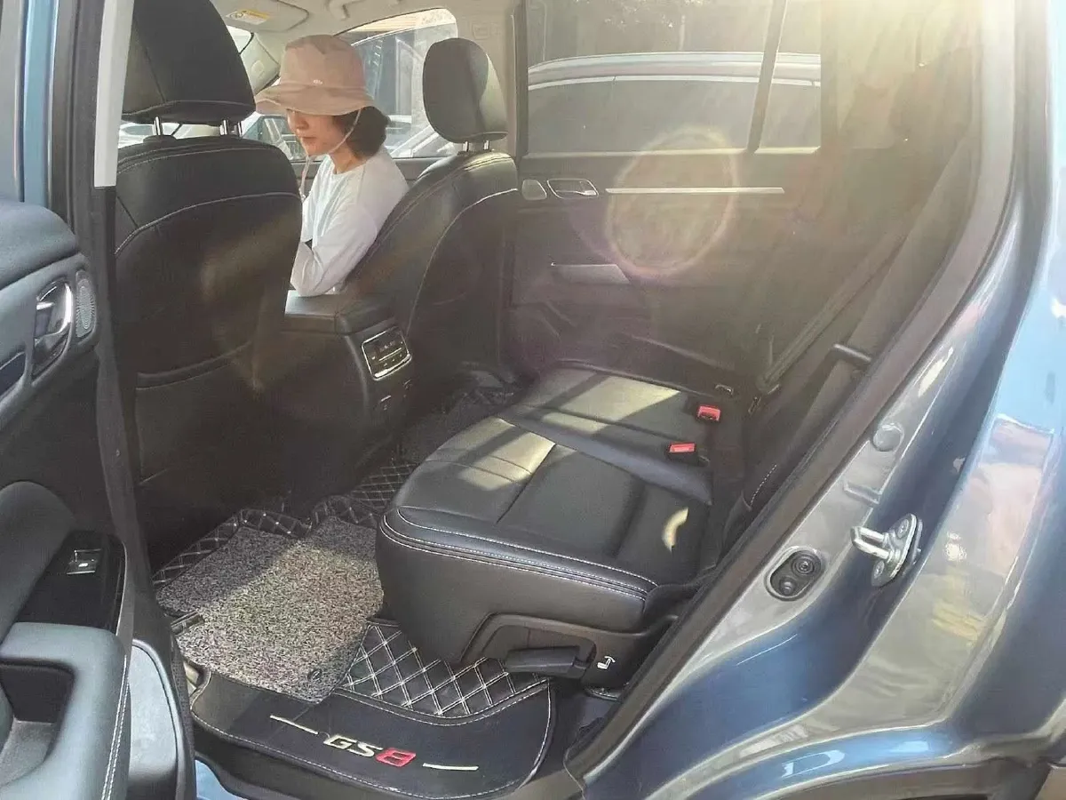 2019 GAC Trumpchi GS8 2.0T 252HP L4 6AT,autocango,china used car exporter,china ev exporter,chinese used car exporter,chinese used ev exporter