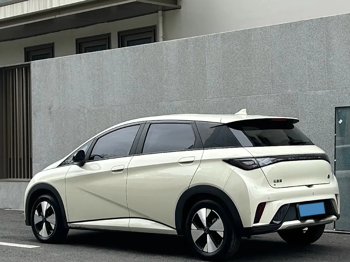 2023 BYD Dolphin BEV 44.928KWH,autocango,china used car exporter,china ev exporter,chinese used car exporter,chinese used ev exporter