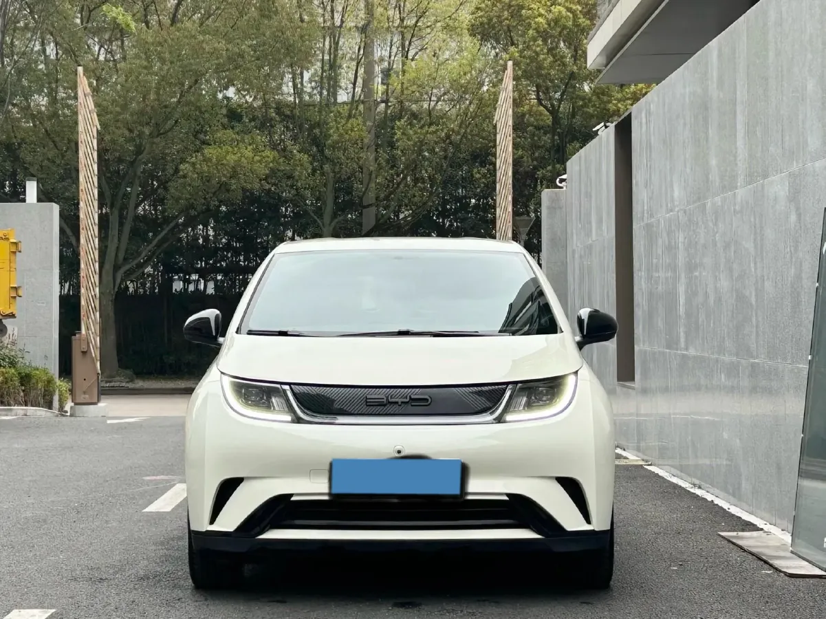 2023 BYD Dolphin BEV 44.928KWH,autocango,china used car exporter,china ev exporter,chinese used car exporter,chinese used ev exporter