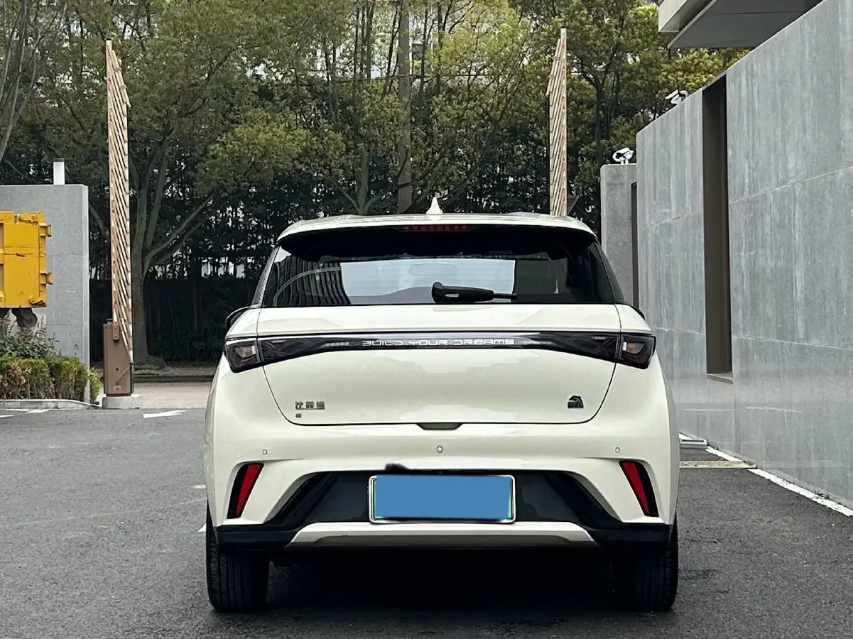 2023 BYD Dolphin BEV 44.928KWH,autocango,china used car exporter,china ev exporter,chinese used car exporter,chinese used ev exporter