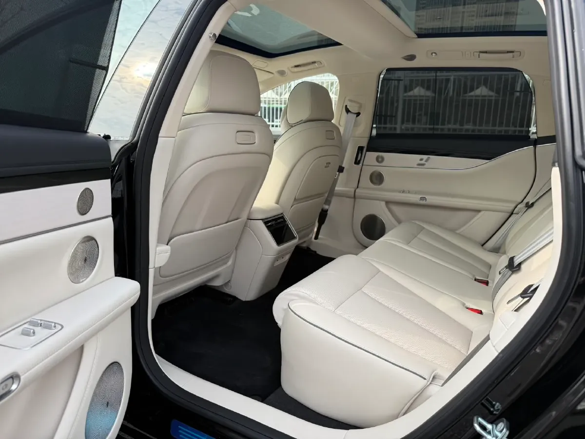 2025 HIMA Stelato S9T REEV 160HP REEV,autocango,china used car exporter,china ev exporter,chinese used car exporter,chinese used ev exporter