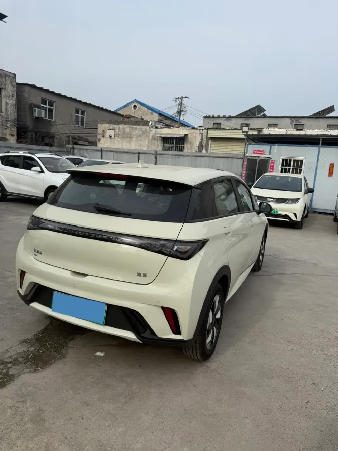 2025 BYD Dolphin BEV 44.928KWH,autocango,china used car exporter,china ev exporter,chinese used car exporter,chinese used ev exporter