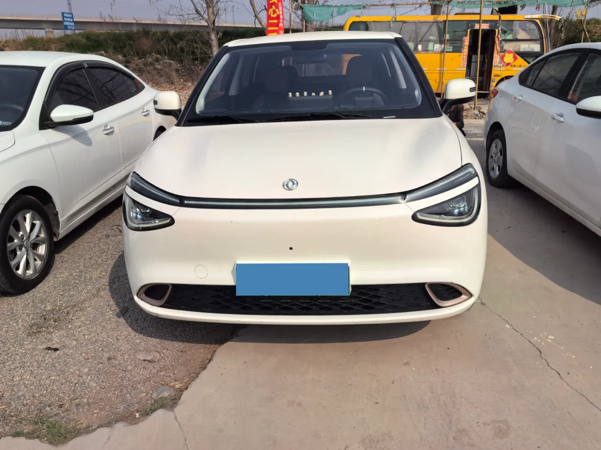 2024 DongFeng eπ 01 BEV 31.45KWH,autocango,china used car exporter,china ev exporter,chinese used car exporter,chinese used ev exporter