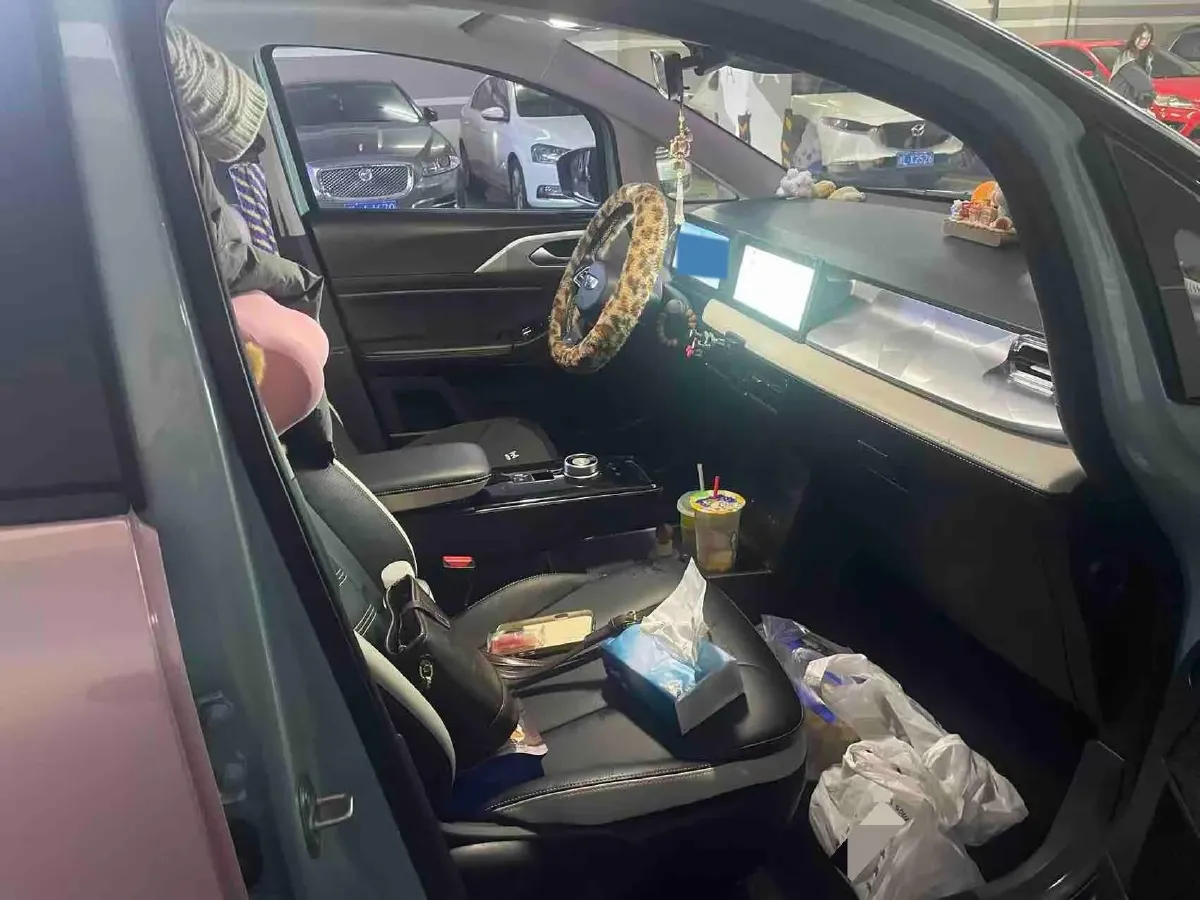 2023 Geometry E BEV 39.4KWH,autocango,china used car exporter,china ev exporter,chinese used car exporter,chinese used ev exporter