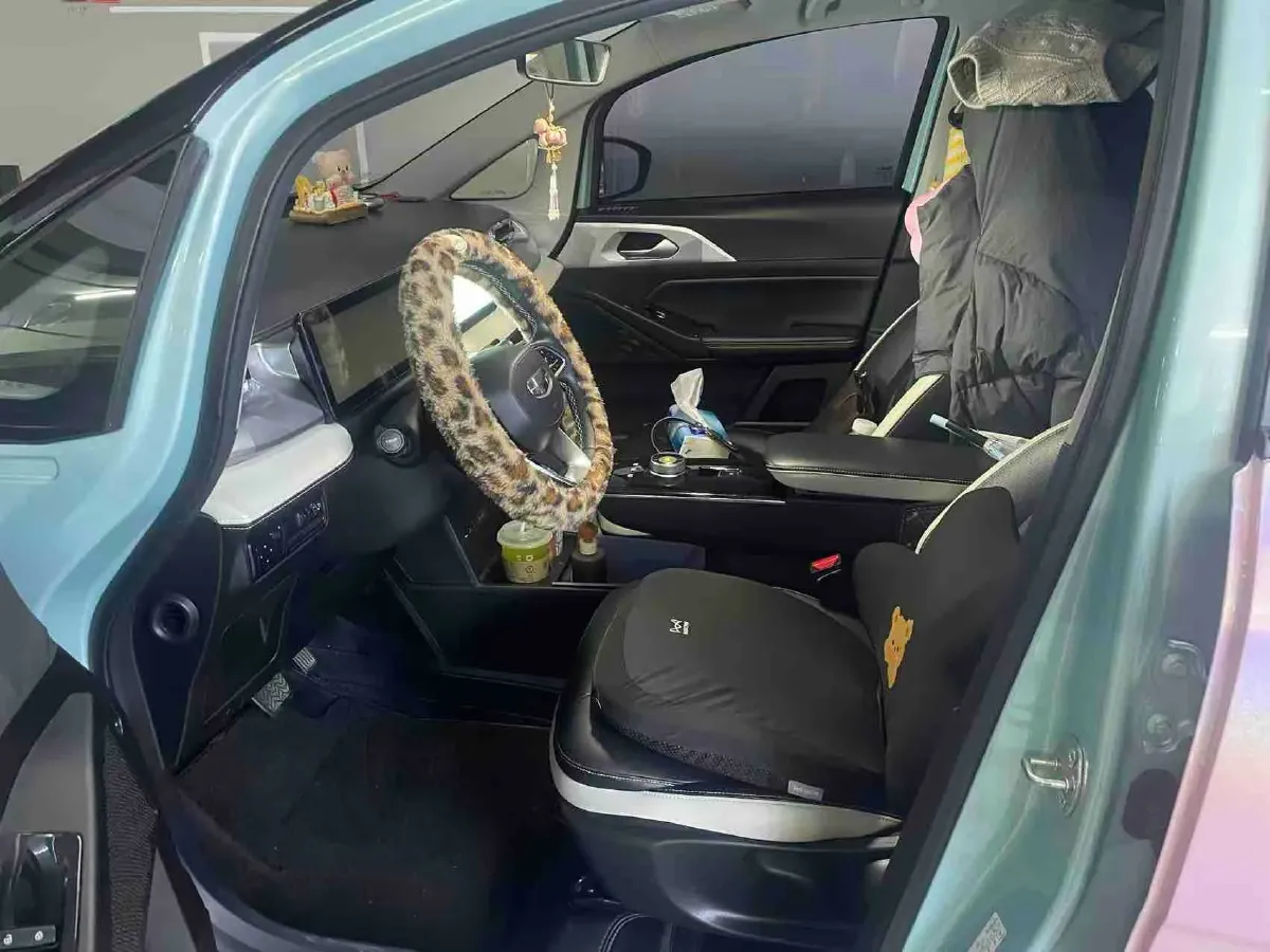 2023 Geometry E BEV 39.4KWH,autocango,china used car exporter,china ev exporter,chinese used car exporter,chinese used ev exporter