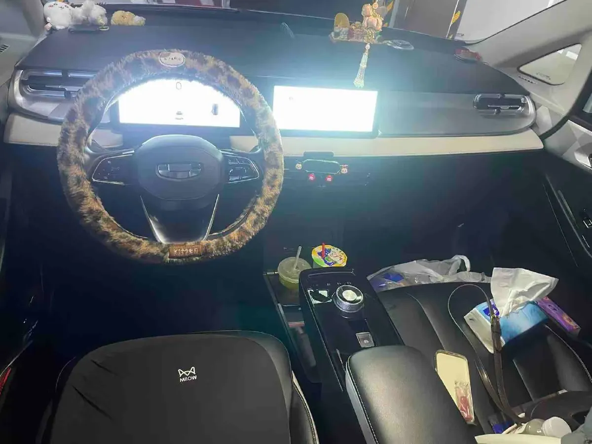 2023 Geometry E BEV 39.4KWH,autocango,china used car exporter,china ev exporter,chinese used car exporter,chinese used ev exporter