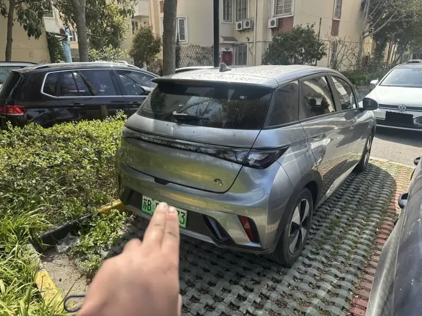 2023 BYD Dolphin BEV 44.928KWH,autocango,china used car exporter,china ev exporter,chinese used car exporter,chinese used ev exporter