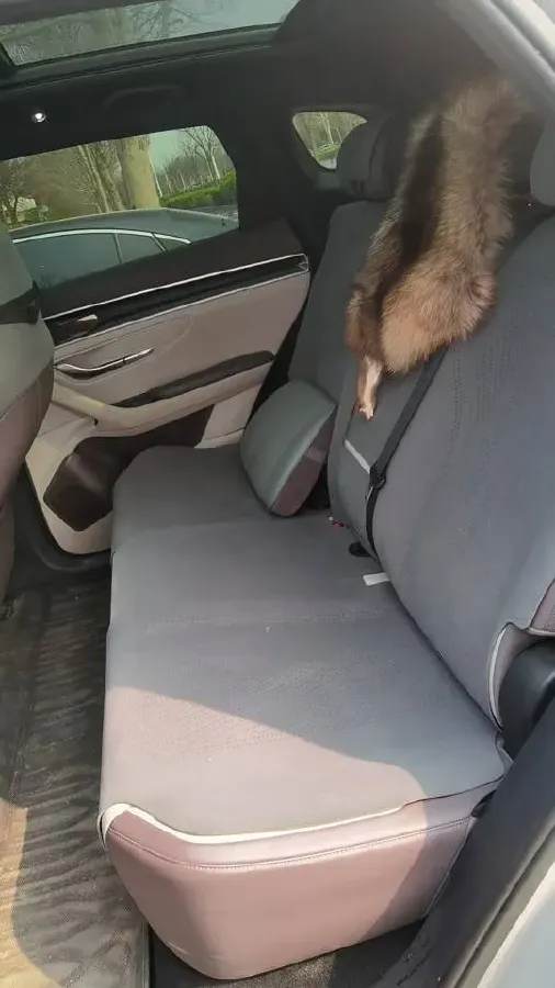 2025 BYD Song Plus 1.5L 101HP L4 E-CVT PHEV 18.3KWH,autocango,china used car exporter,china ev exporter,chinese used car exporter,chinese used ev exporter