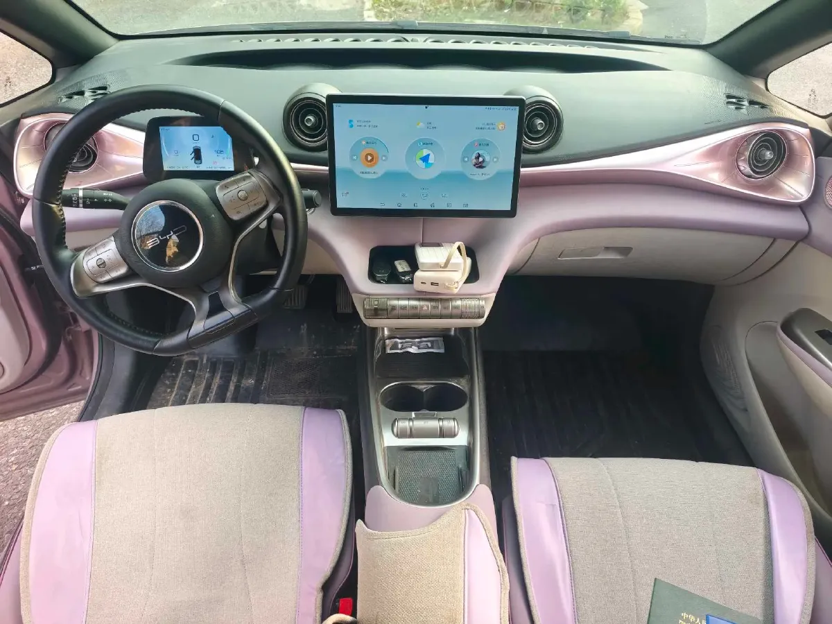 2021 BYD Yuan Pro BEV 50.1KWH,autocango,china used car exporter,china ev exporter,chinese used car exporter,chinese used ev exporter