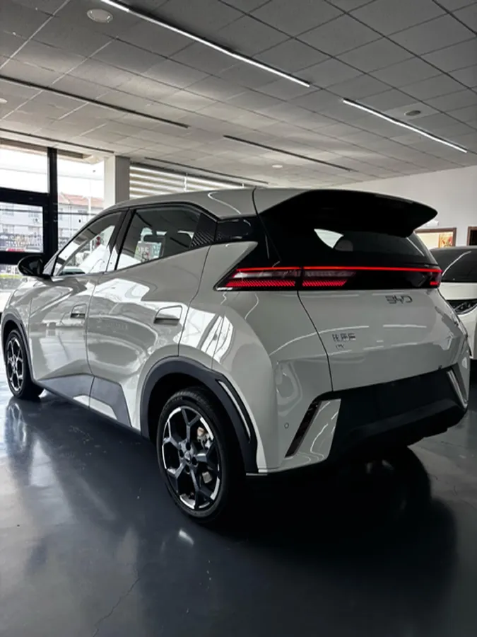 2024 BYD Seagull BEV 30.08KWH,autocango,china used car exporter,china ev exporter,chinese used car exporter,chinese used ev exporter