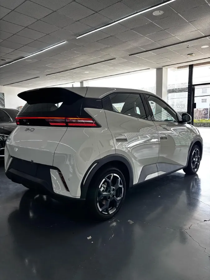 2024 BYD Seagull BEV 30.08KWH,autocango,china used car exporter,china ev exporter,chinese used car exporter,chinese used ev exporter