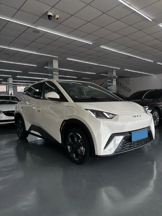 2024 BYD Seagull BEV 30.08KWH,autocango,china used car exporter,china ev exporter,chinese used car exporter,chinese used ev exporter