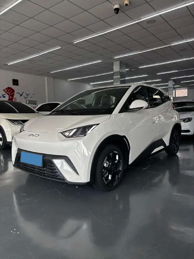 2024 BYD Seagull BEV 30.08KWH,autocango,china used car exporter,china ev exporter,chinese used car exporter,chinese used ev exporter