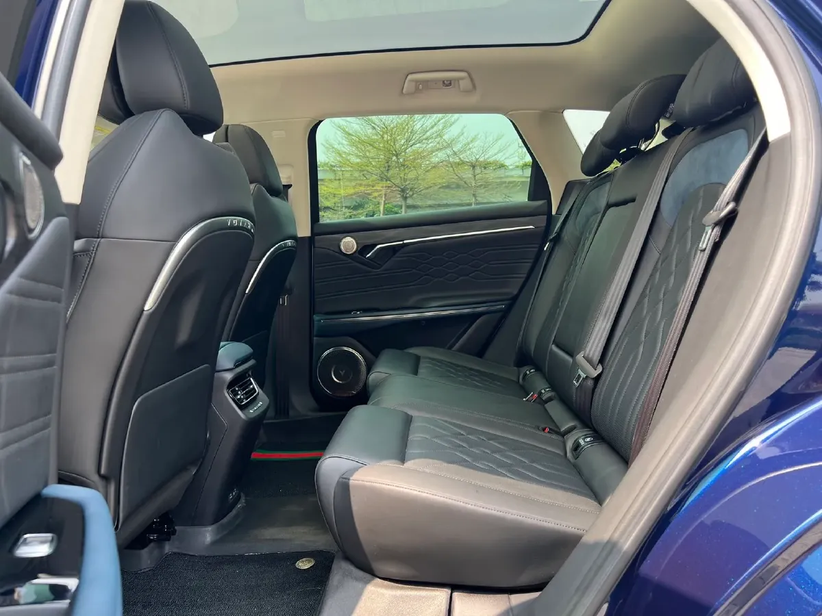 2021 Voyah FREE Range Extended 109HP REEV 33KWH,autocango,china used car exporter,china ev exporter,chinese used car exporter,chinese used ev exporter