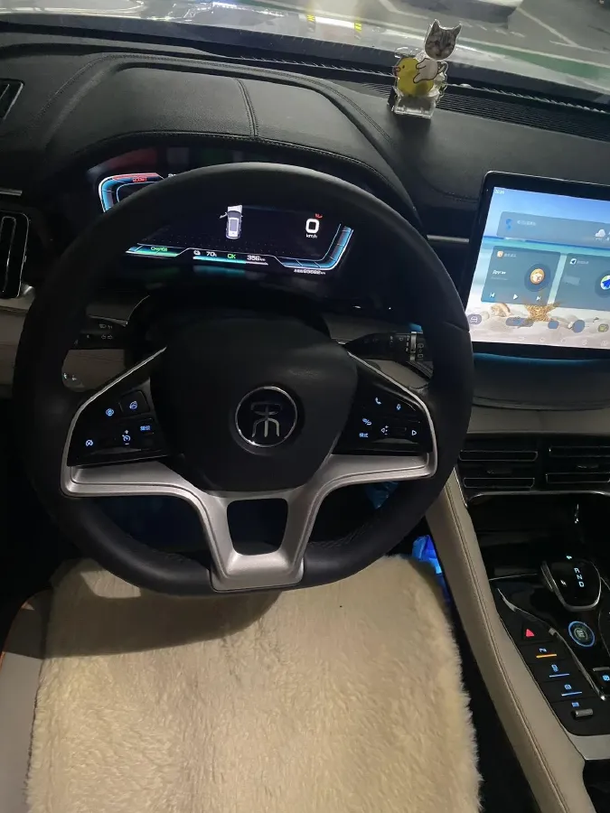 2021 BYD Qin BEV 53.56KWH,autocango,china used car exporter,china ev exporter,chinese used car exporter,chinese used ev exporter