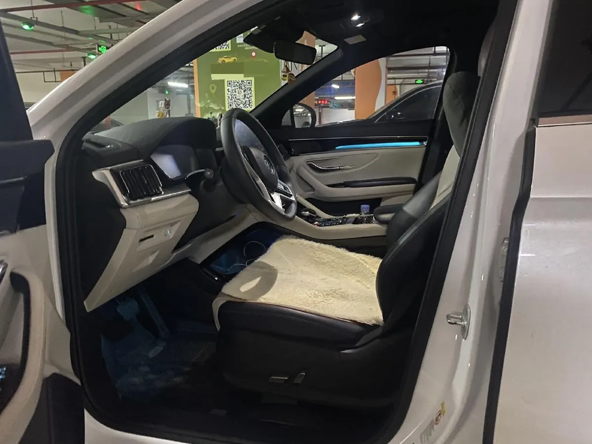 2021 BYD Qin BEV 53.56KWH,autocango,china used car exporter,china ev exporter,chinese used car exporter,chinese used ev exporter