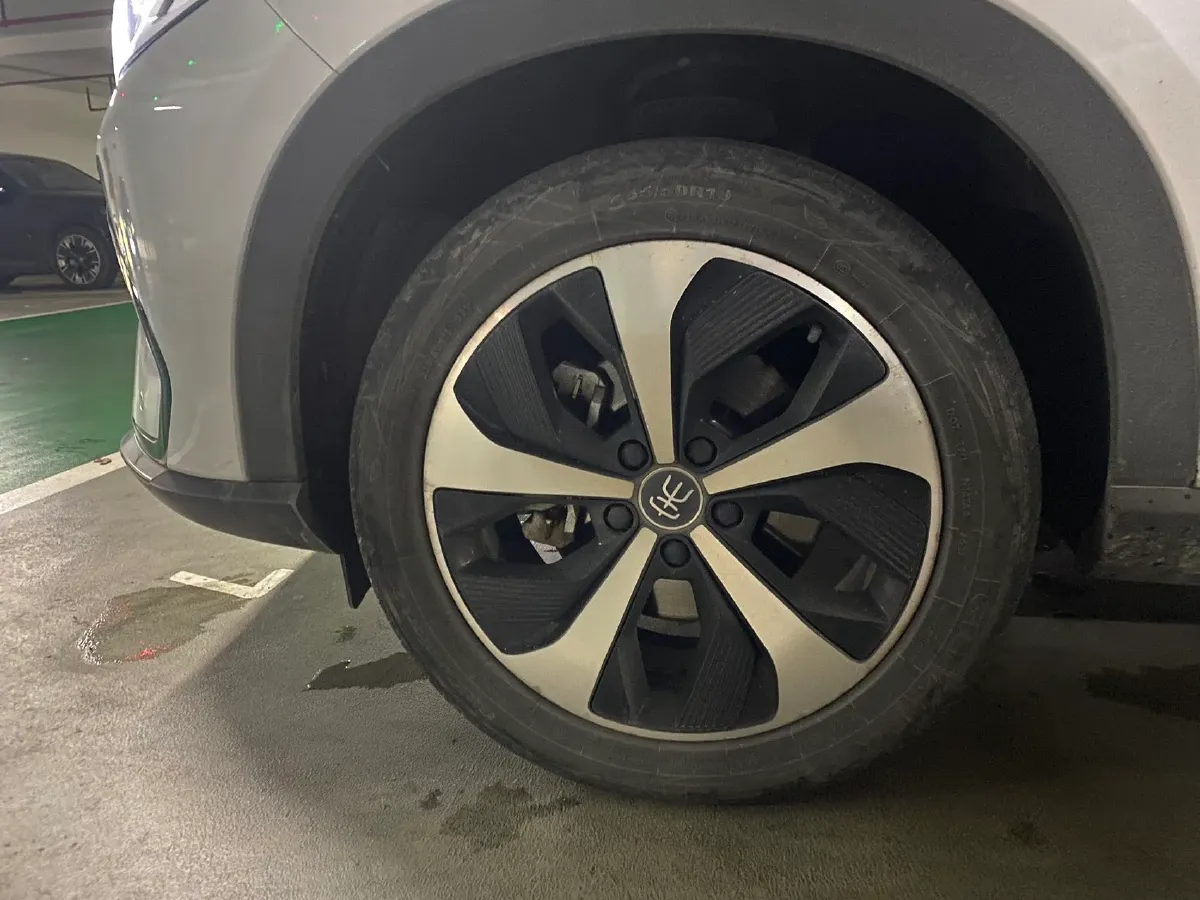 2021 BYD Qin BEV 53.56KWH,autocango,china used car exporter,china ev exporter,chinese used car exporter,chinese used ev exporter