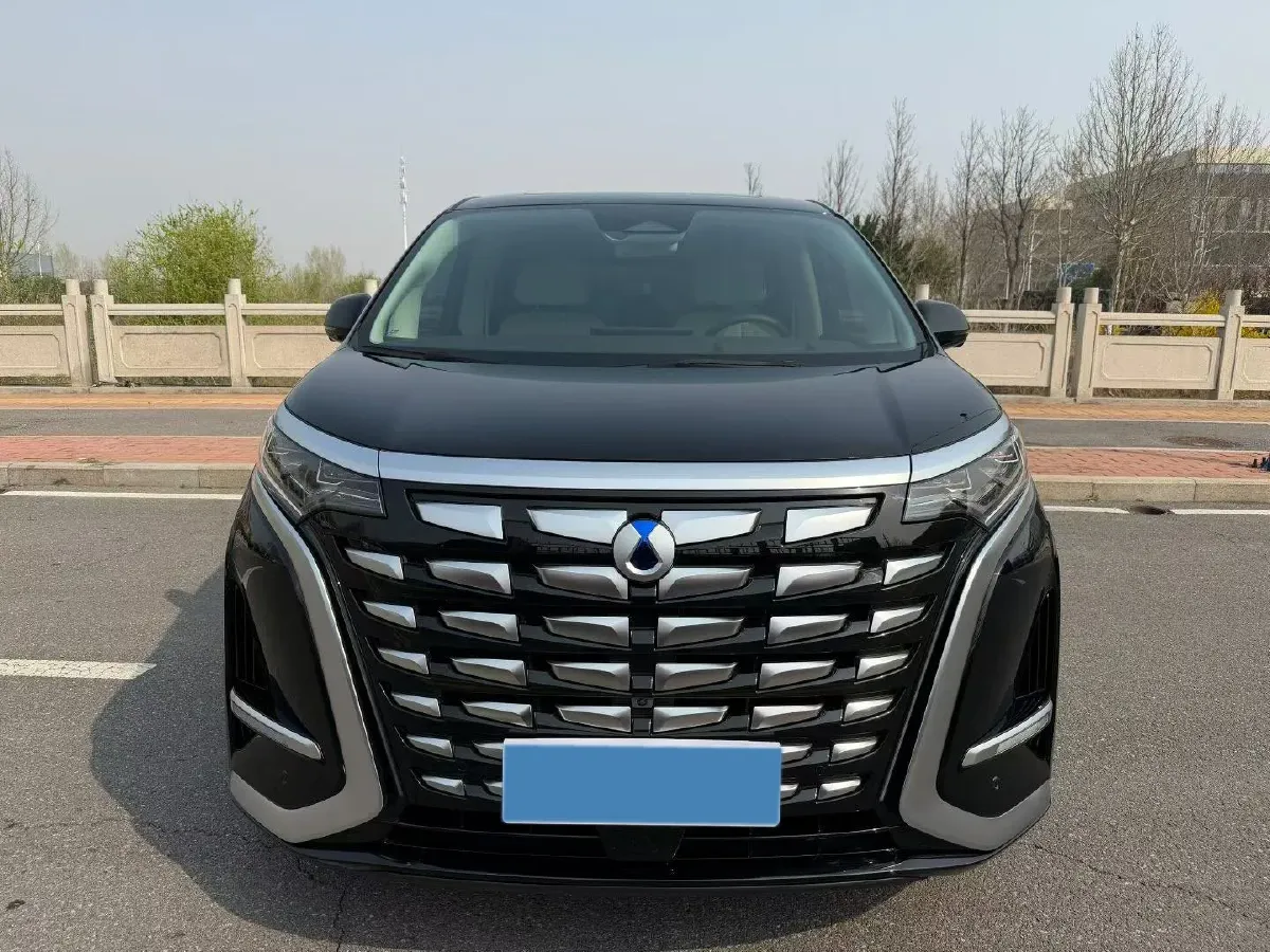 2024 Denza D9 1.5T 139HP L4 E-CVT PHEV 40KWH,autocango,china used car exporter,china ev exporter,chinese used car exporter,chinese used ev exporter