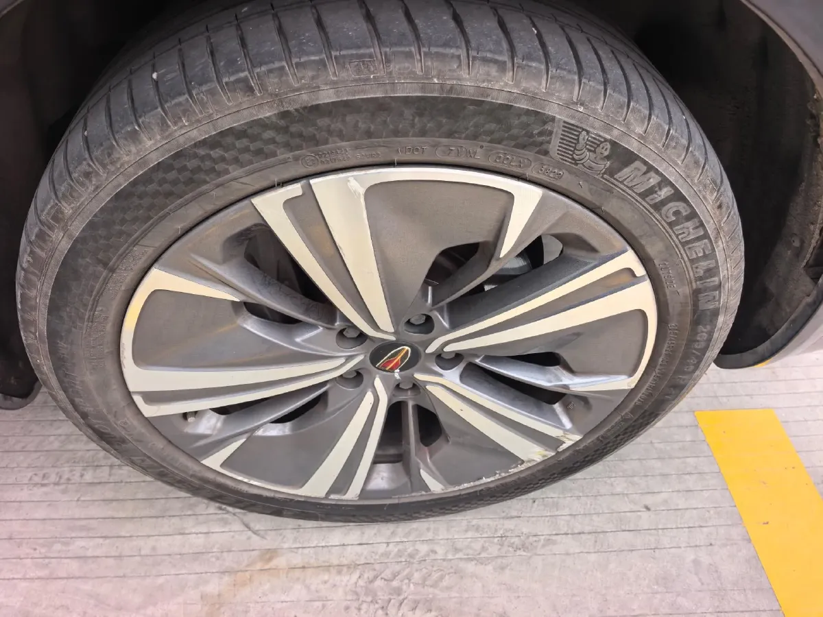 2021 HongQi E-HS9 BEV 84KWH,autocango,china used car exporter,china ev exporter,chinese used car exporter,chinese used ev exporter