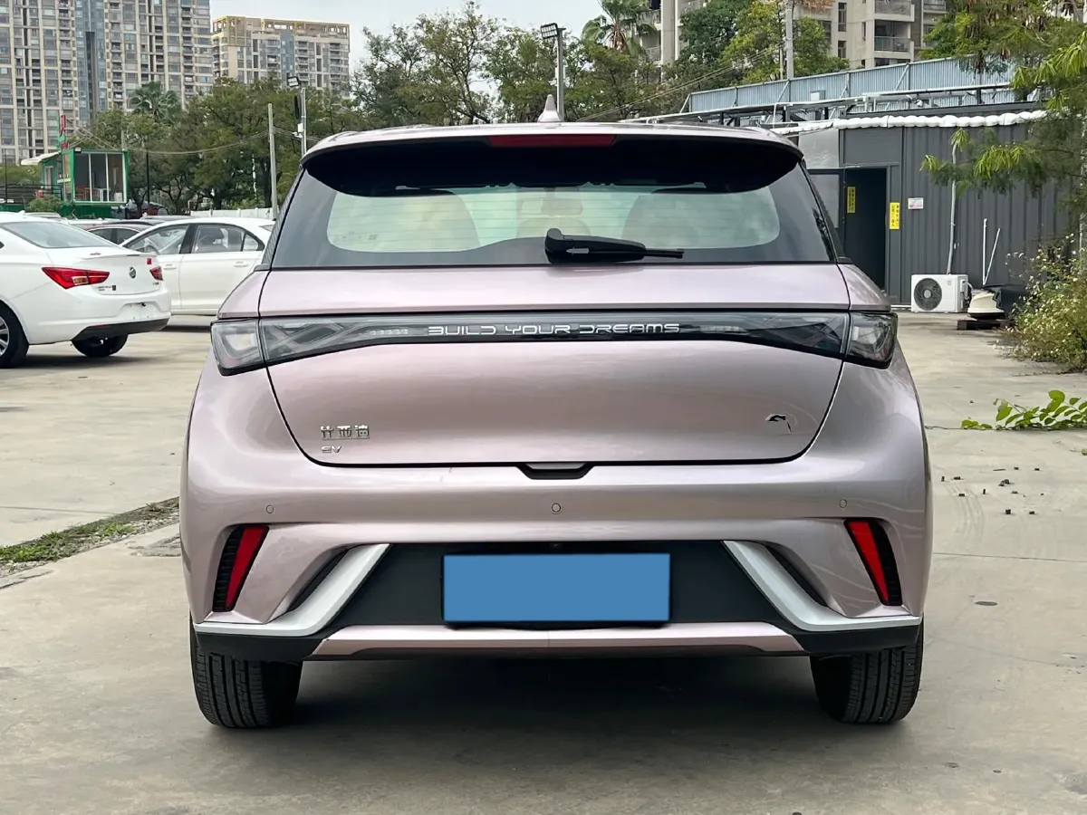 2023 BYD Dolphin BEV 44.928KWH,autocango,china used car exporter,china ev exporter,chinese used car exporter,chinese used ev exporter