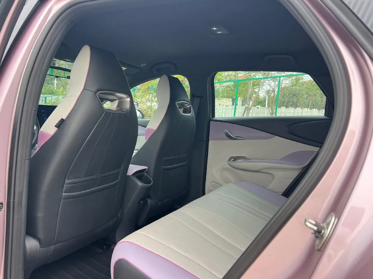 2023 BYD Dolphin BEV 44.928KWH,autocango,china used car exporter,china ev exporter,chinese used car exporter,chinese used ev exporter