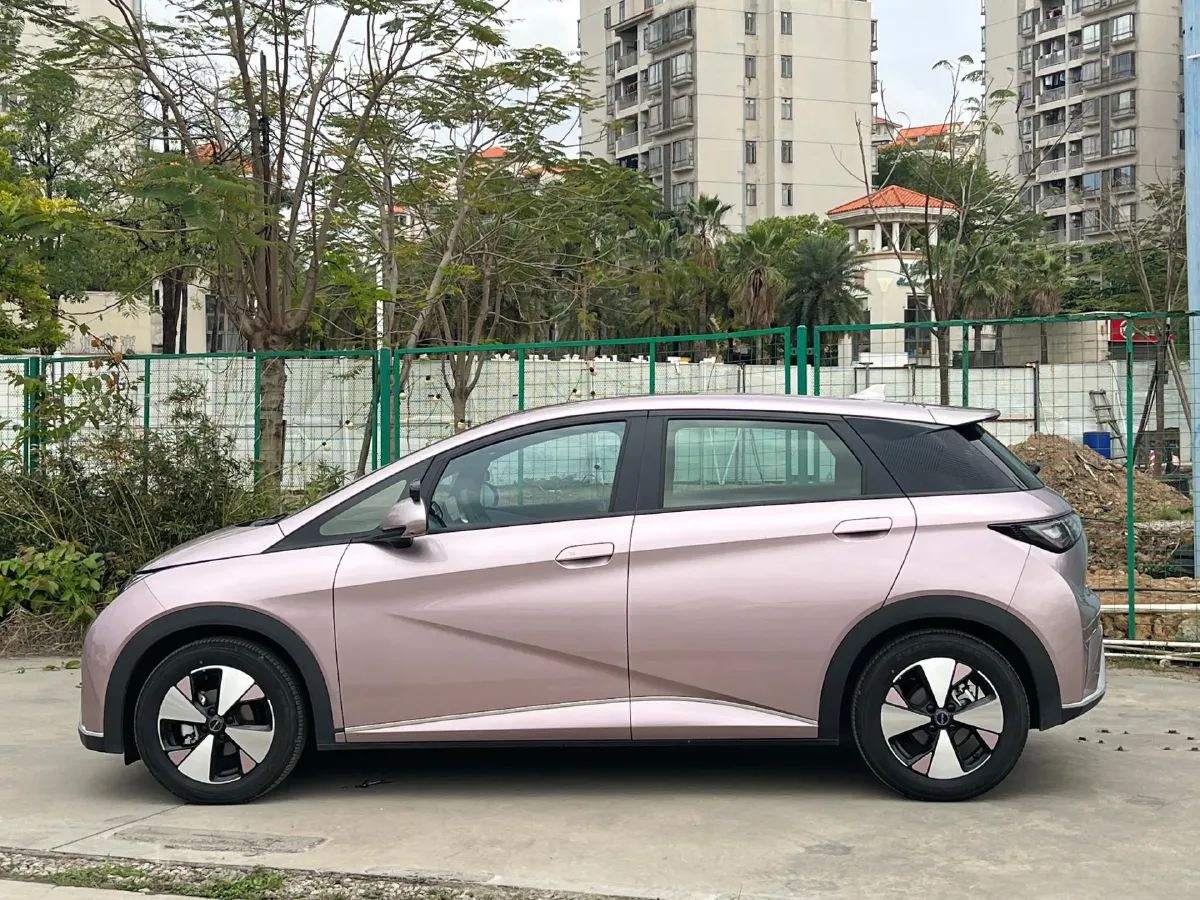 2023 BYD Dolphin BEV 44.928KWH,autocango,china used car exporter,china ev exporter,chinese used car exporter,chinese used ev exporter