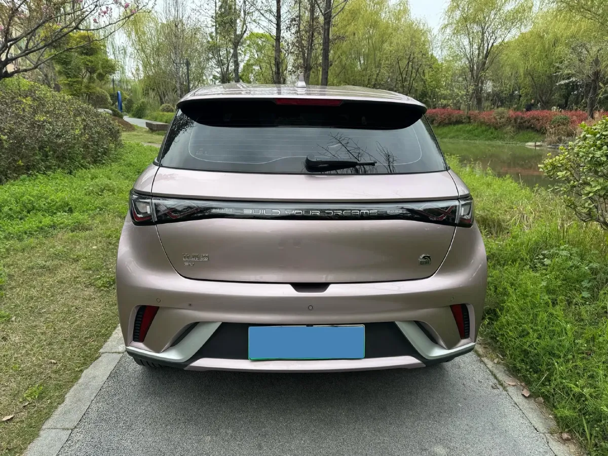 2023 BYD Dolphin BEV 44.928KWH,autocango,china used car exporter,china ev exporter,chinese used car exporter,chinese used ev exporter