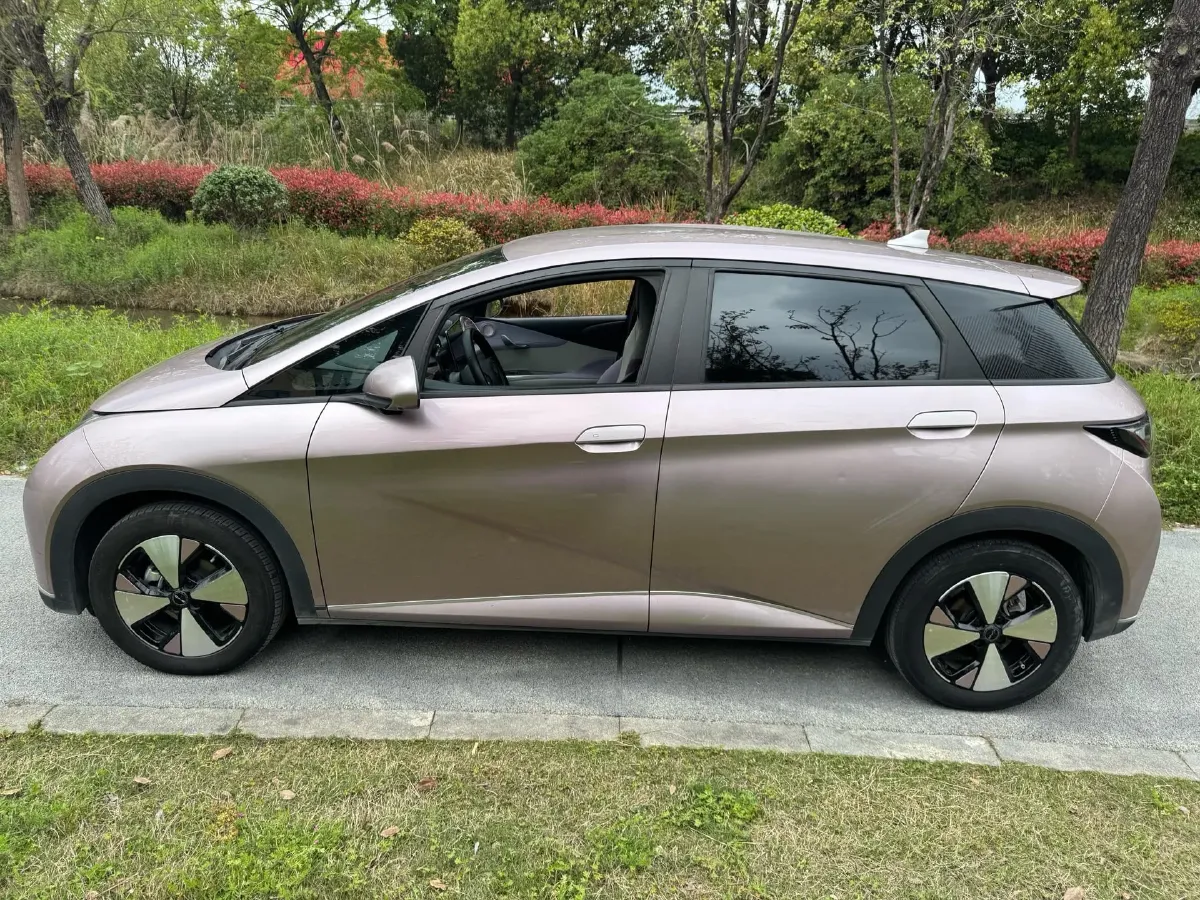 2023 BYD Dolphin BEV 44.928KWH,autocango,china used car exporter,china ev exporter,chinese used car exporter,chinese used ev exporter