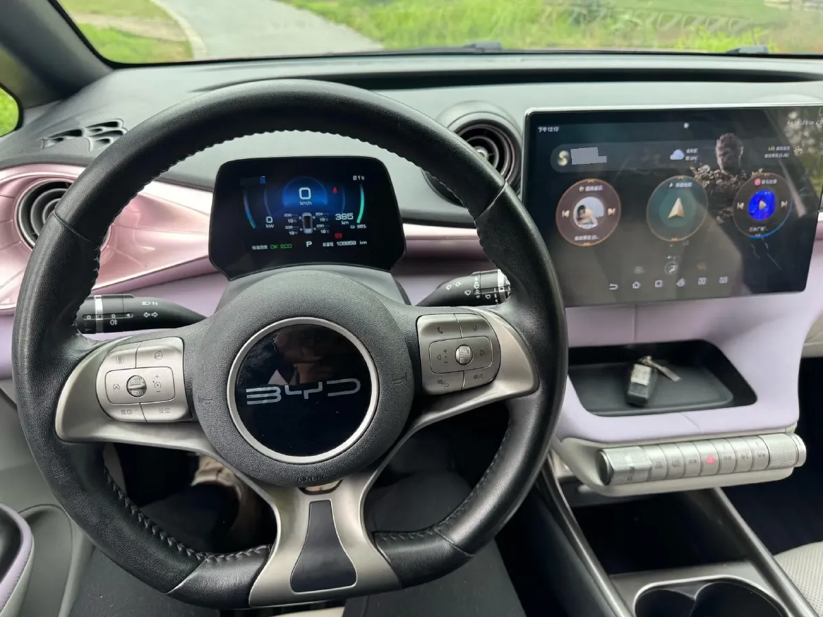 2023 BYD Dolphin BEV 44.928KWH,autocango,china used car exporter,china ev exporter,chinese used car exporter,chinese used ev exporter