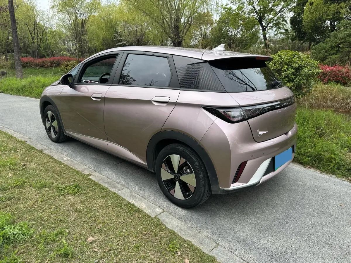 2023 BYD Dolphin BEV 44.928KWH,autocango,china used car exporter,china ev exporter,chinese used car exporter,chinese used ev exporter