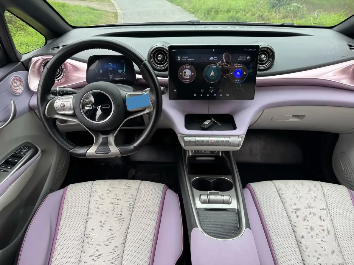 2023 BYD Dolphin BEV 44.928KWH,autocango,china used car exporter,china ev exporter,chinese used car exporter,chinese used ev exporter