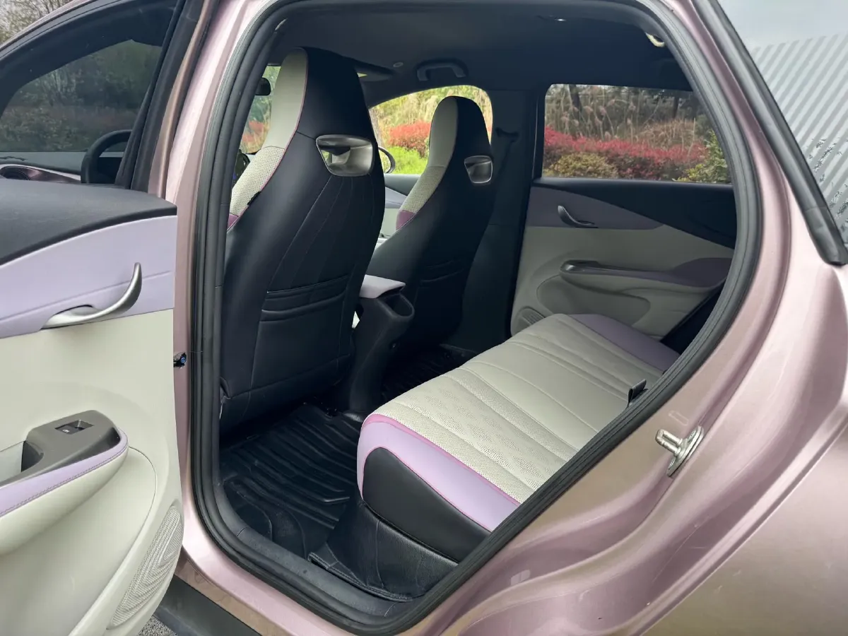 2023 BYD Dolphin BEV 44.928KWH,autocango,china used car exporter,china ev exporter,chinese used car exporter,chinese used ev exporter