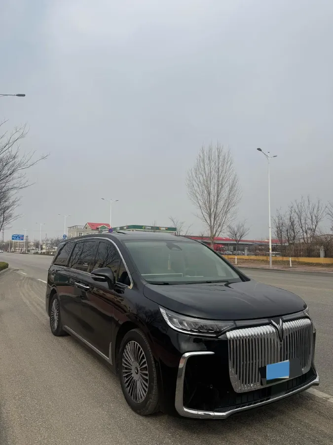 2025 Voyah Dream 1.5T 150HP L4 PHEV 41.7KWH,autocango,china used car exporter,china ev exporter,chinese used car exporter,chinese used ev exporter