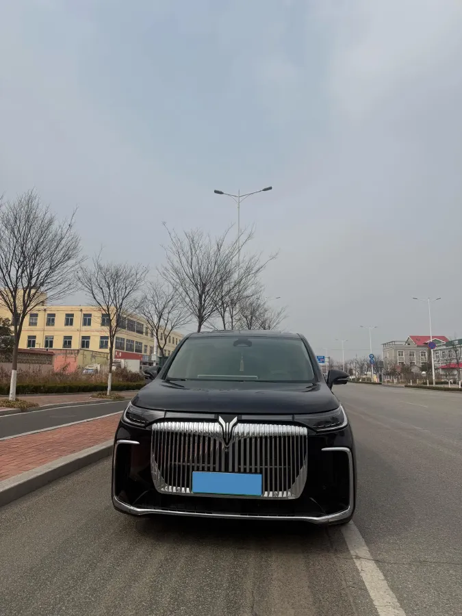 2025 Voyah Dream 1.5T 150HP L4 PHEV 41.7KWH,autocango,china used car exporter,china ev exporter,chinese used car exporter,chinese used ev exporter
