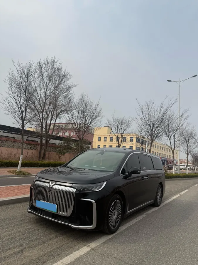 2025 Voyah Dream 1.5T 150HP L4 PHEV 41.7KWH,autocango,china used car exporter,china ev exporter,chinese used car exporter,chinese used ev exporter